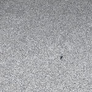 En produktbild på en grå / vit natursten till köksbänkskiva.